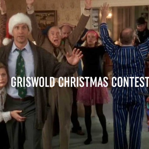 griswold christmas costumes
