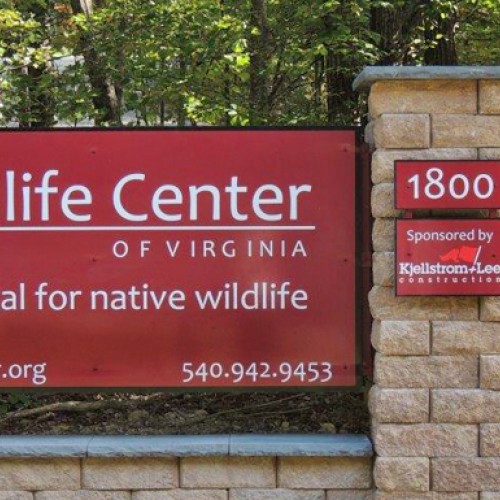 Wildlife Center of Virginia - Venue | Waynesboro - Where Good Nature